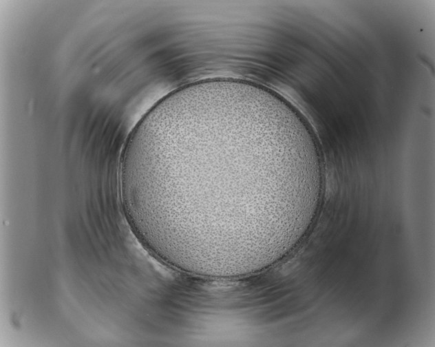 X0000103171290200809121852