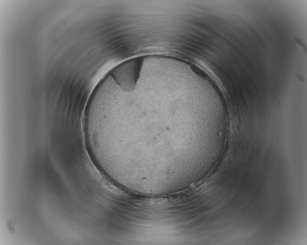 X0000103171291200809121852