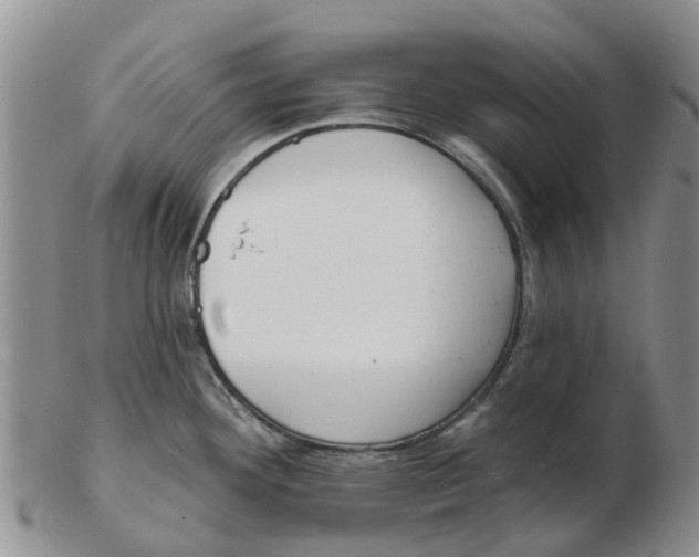 X0000103171292200809121852