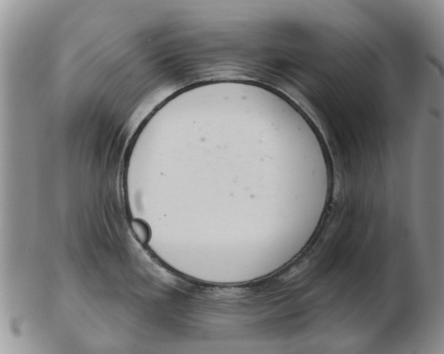 X0000103171293200809121852