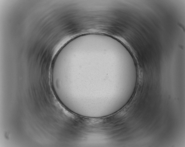 X0000103171294200809121852