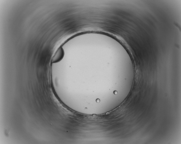 X0000103171295200809121852