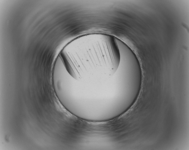 X0000103171296200809121852