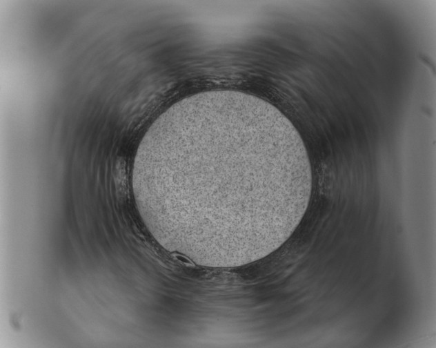 X0000103171298200809121851