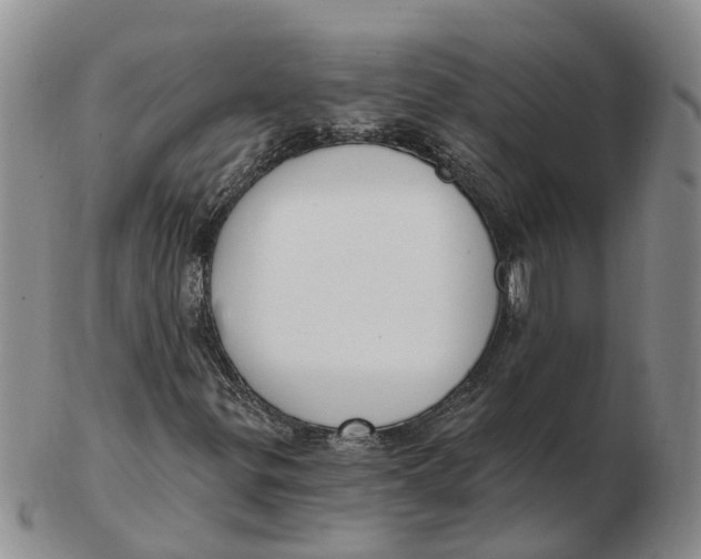 X0000103171299200809121851