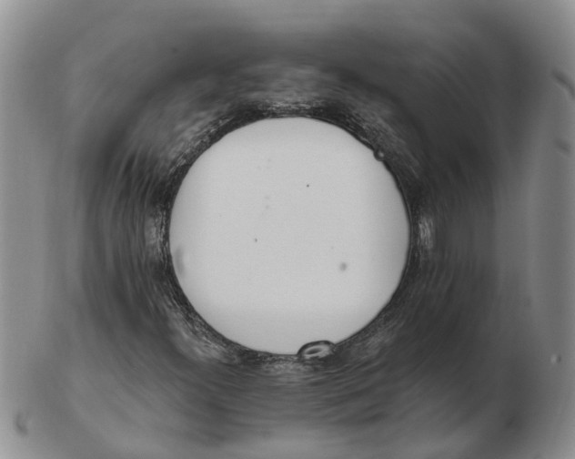 X0000103171300200809121851