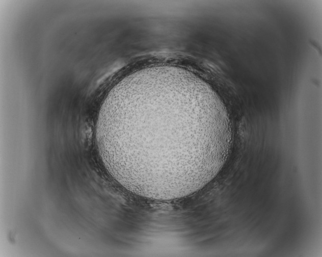 X0000103171302200809121851