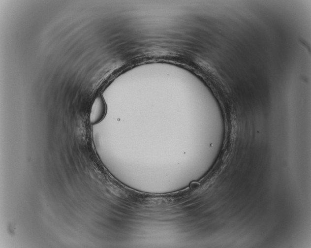 X0000103171305200809121851