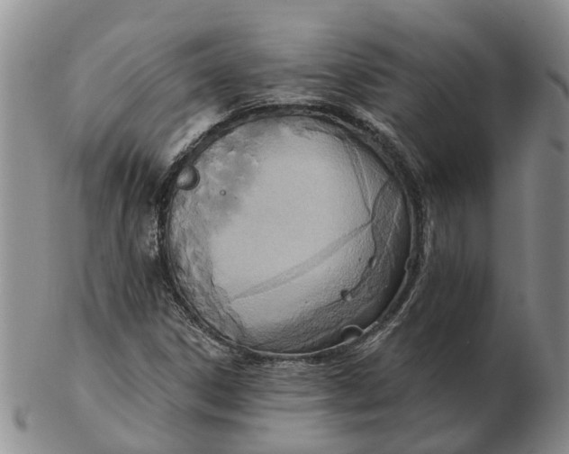 X0000103171306200809121851