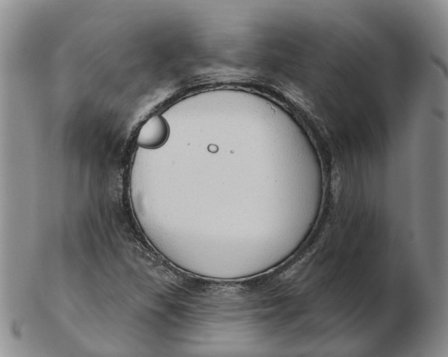 X0000103171309200809121852