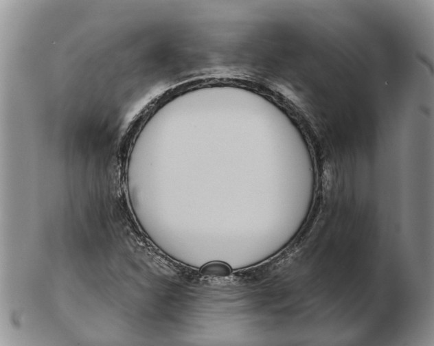 X0000103171310200809121852