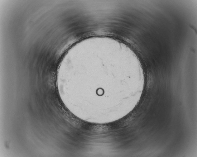 X0000103171314200809121852