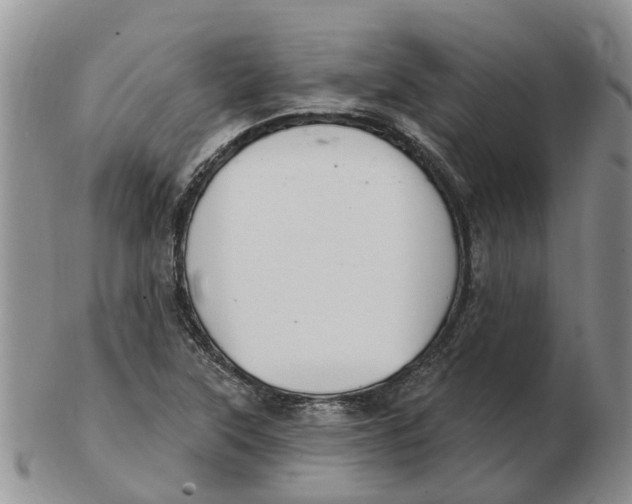 X0000103171315200809121852