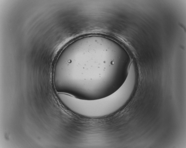 X0000103171316200809121852