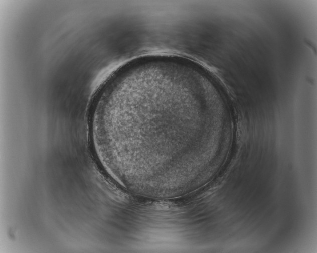 X0000103171319200809121852