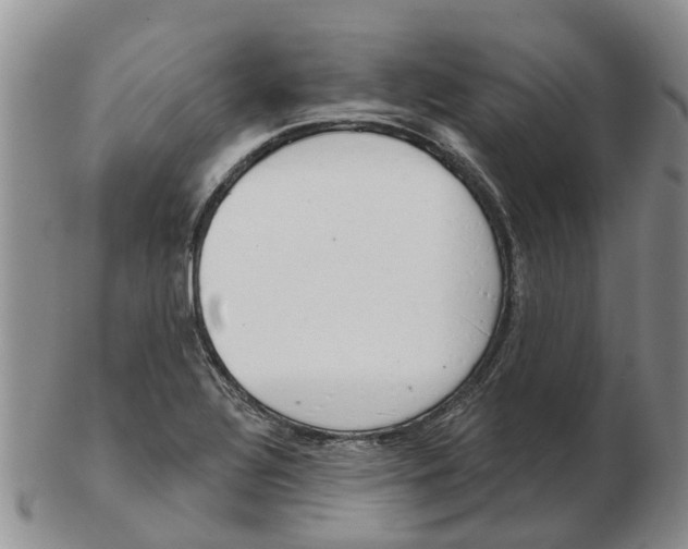 X0000103171320200809121852