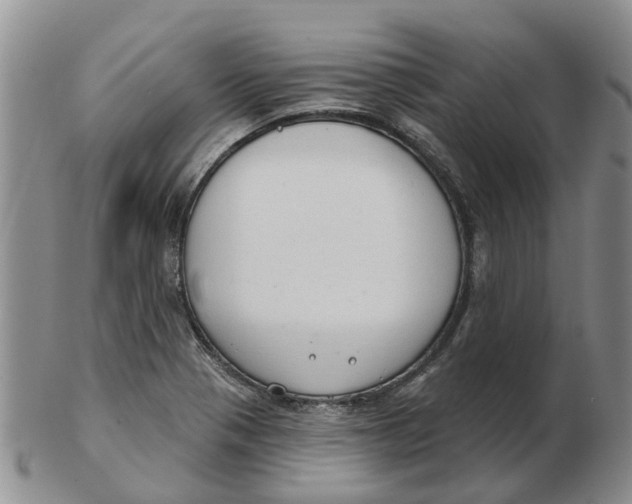 X0000103171321200809121852