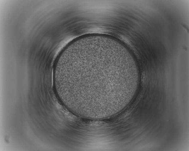 X0000103171323200809121852