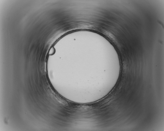 X0000103171324200809121852