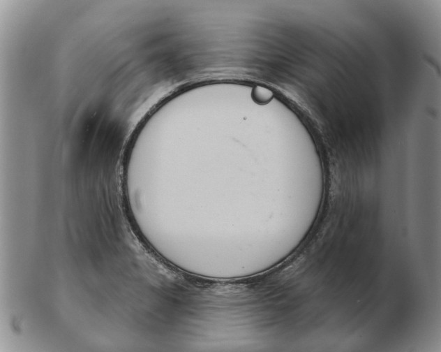 X0000103171325200809121852