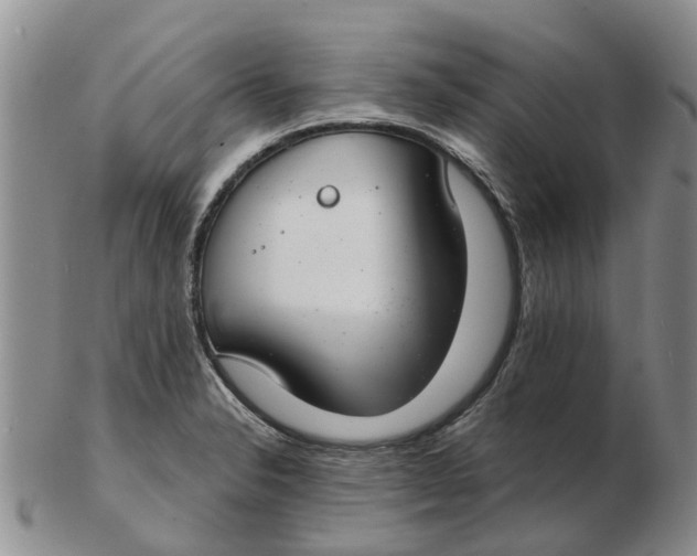 X0000103171326200809121852