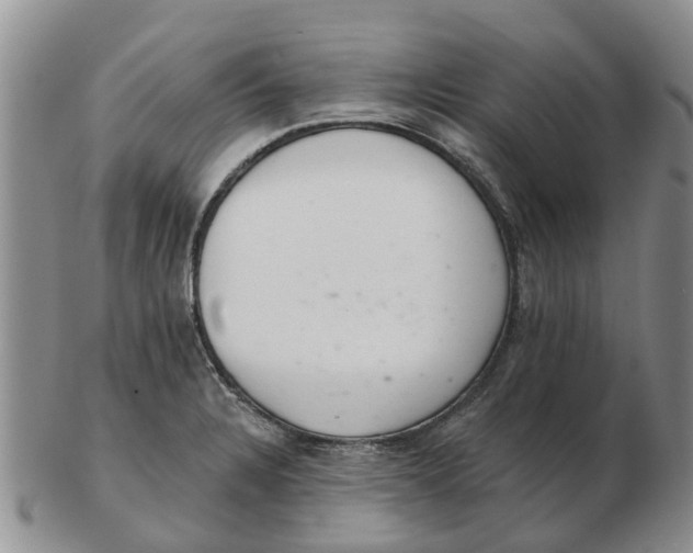 X0000103171328200809121852