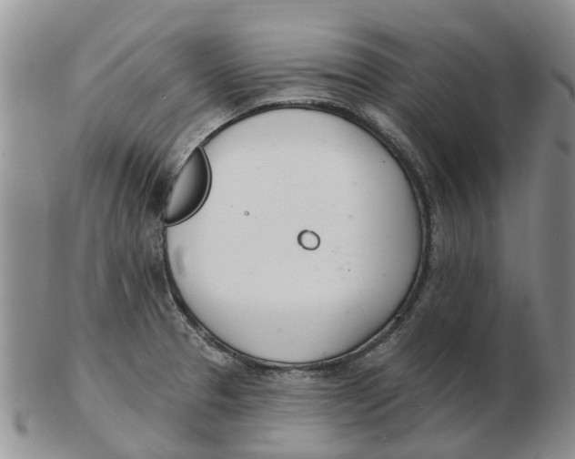 X0000103171329200809121852