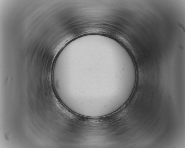 X0000103171330200809121852