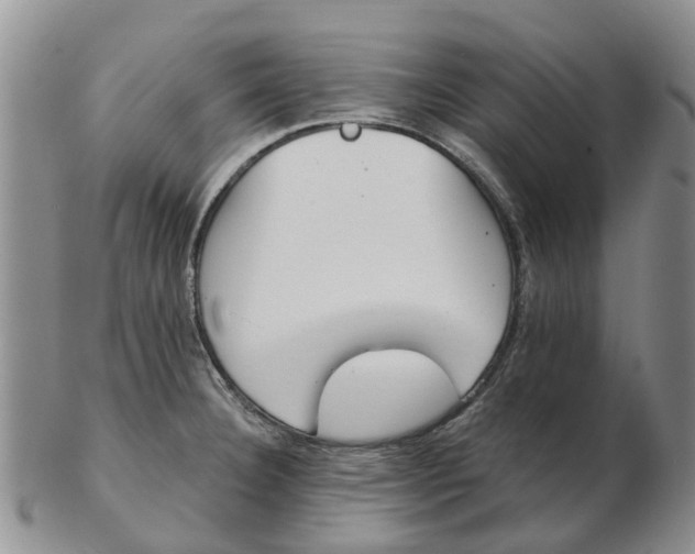 X0000103171332200809121852