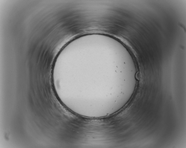 X0000103171333200809121852