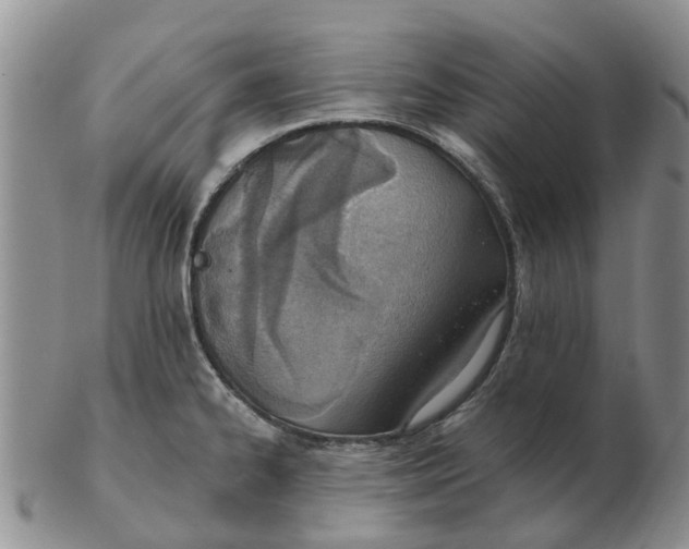 X0000103171334200809121852