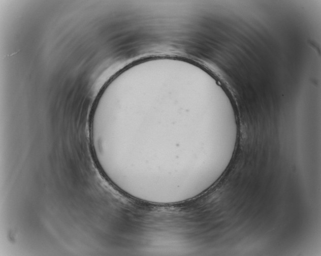 X0000103171335200809121852