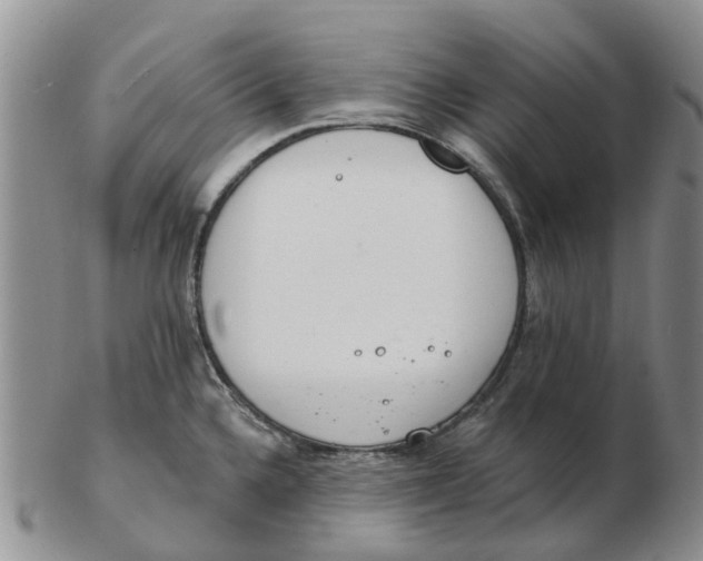 X0000103171336200809121852