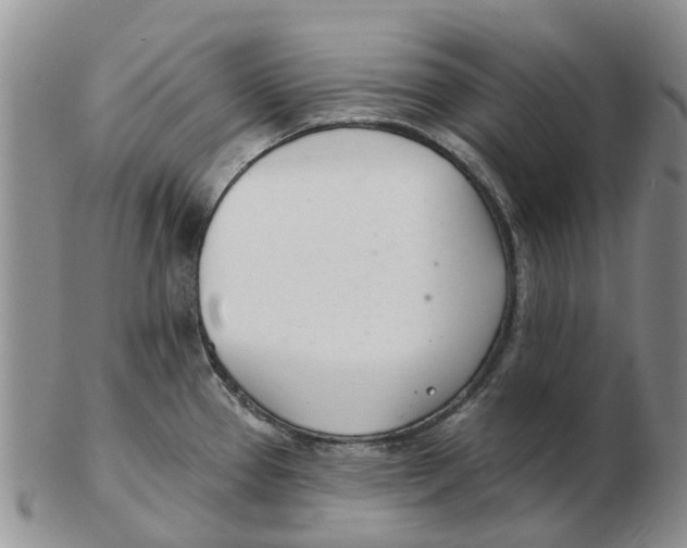 X0000103171337200809121852