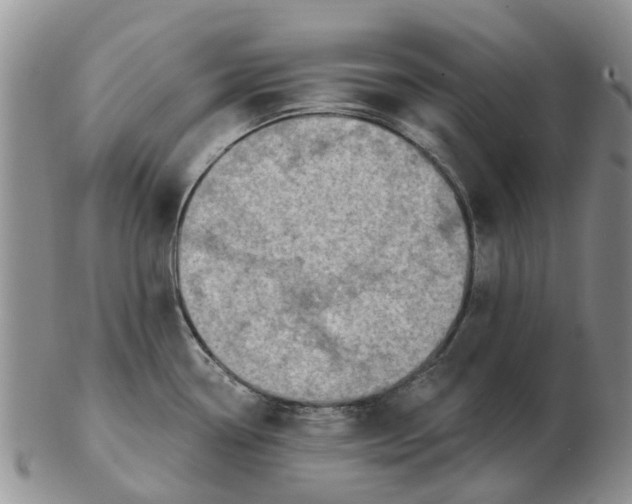 X0000103171338200809121852