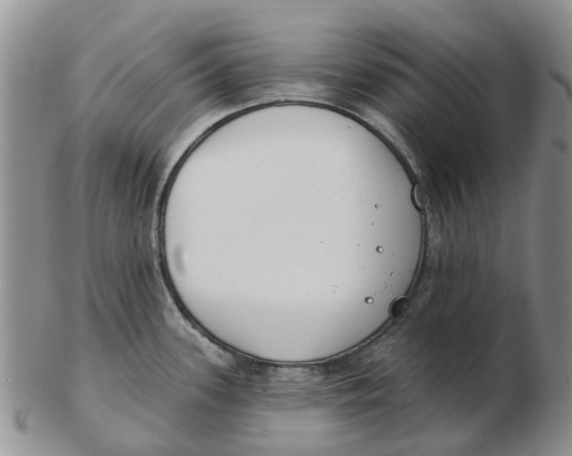 X0000103171339200809121852