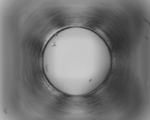 X0000103171340200809121852