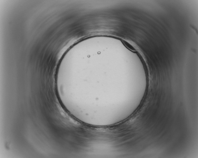 X0000103171341200809121852