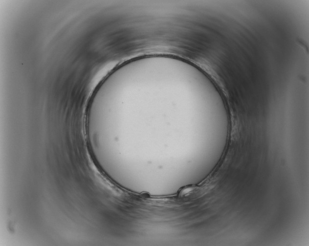 X0000103171342200809121852