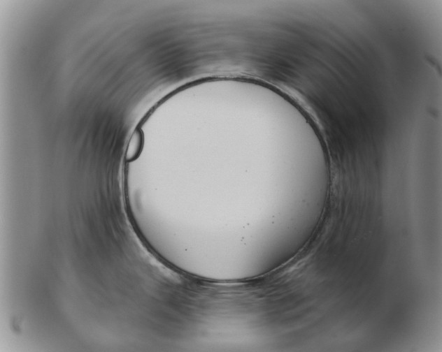 X0000103171343200809121852