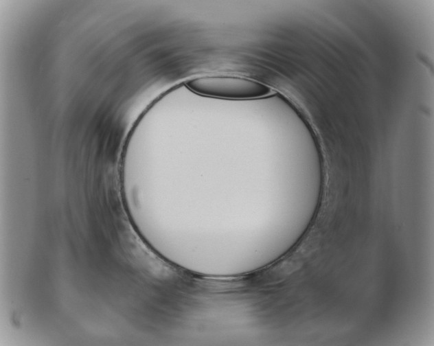 X0000103171344200809121852