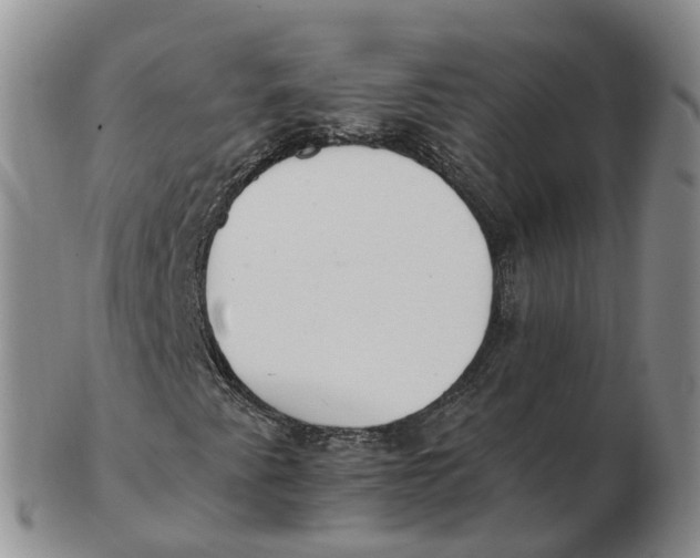 X0000103171345200809121851