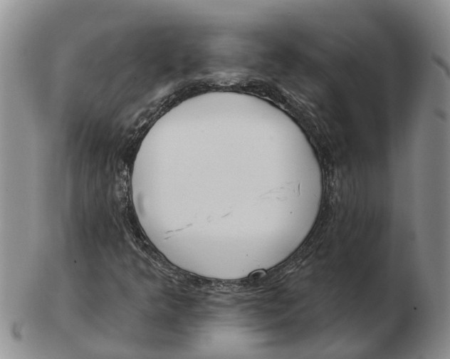 X0000103171349200809121851