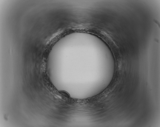 X0000103171350200809121851