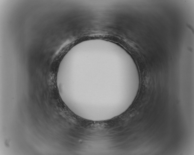 X0000103171351200809121851