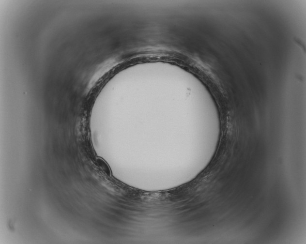 X0000103171352200809121851