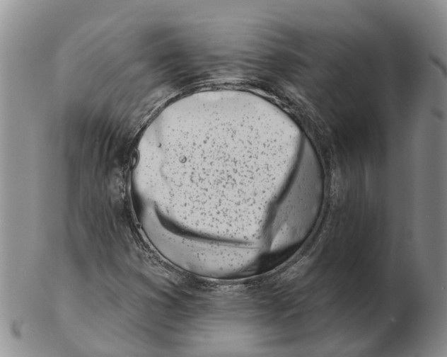 X0000103171353200809121851