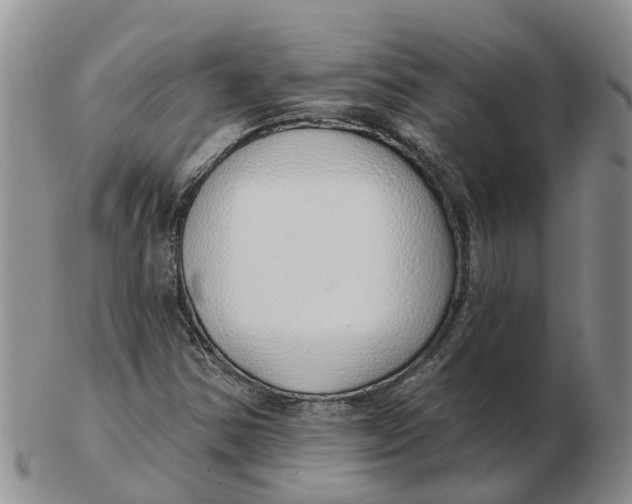 X0000103171354200809121851