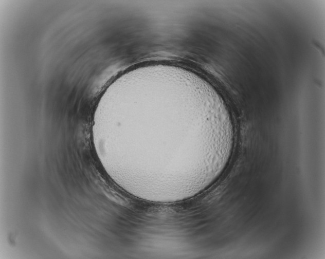 X0000103171355200809121851