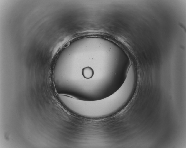 X0000103171357200809121851